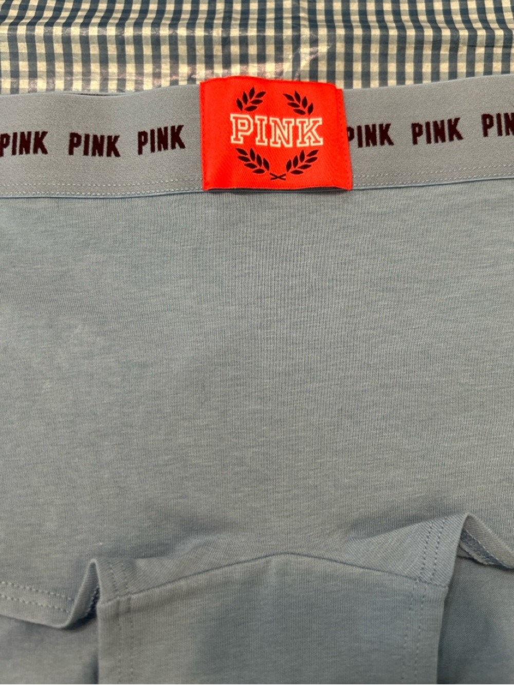 PINK Victoria's Secret Light Blue Panty